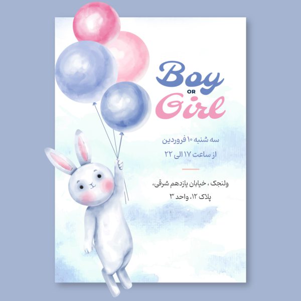 virtual-Gender-Reveal-party-invitation-25