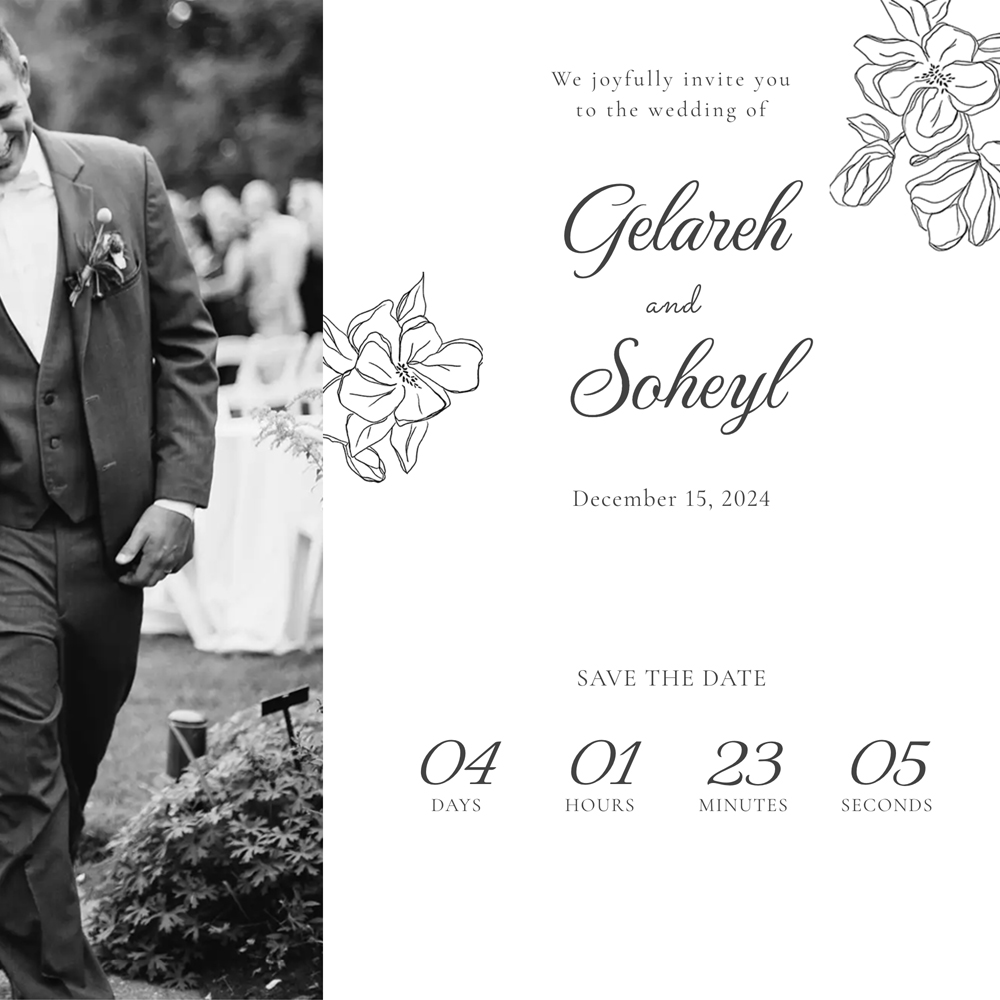 internet-Baleh-Boroon-invitation-mini-website-166